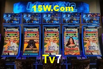 Sistemas de Segurança Tv7