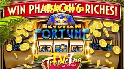 Estatísticas do Jogo Tv7